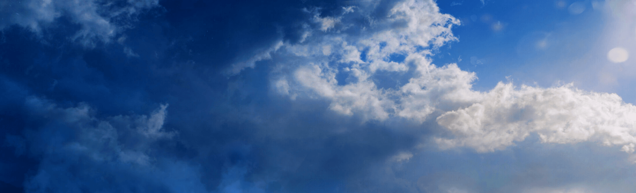 apologise, but this variant